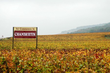 chanbertin.jpg